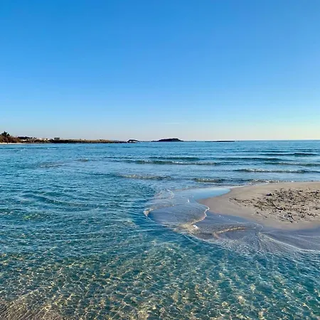 Gelsi Mori Sulla Porto Cesareo