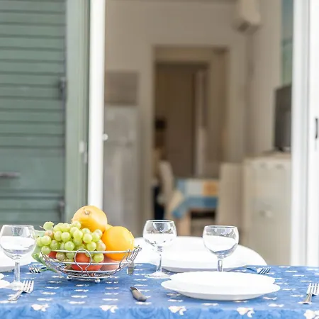 Gelsi Mori Sulla Porto Cesareo