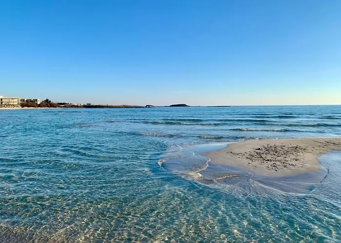 Gelsi Mori Porto Cesareo